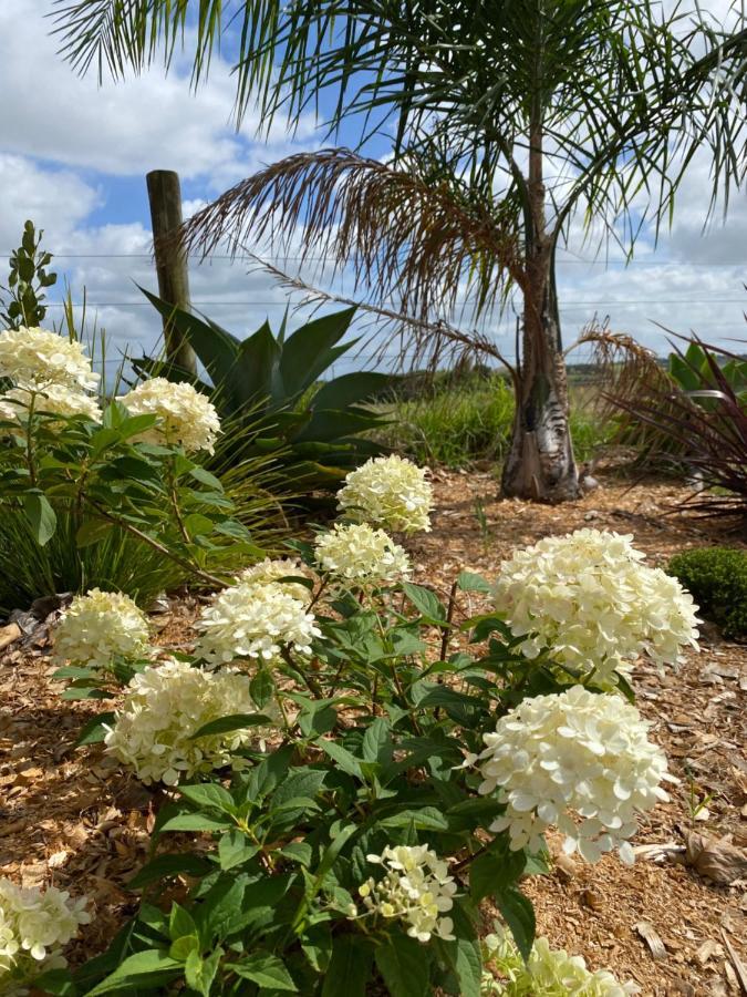 Turiwiri Farmstay Dargaville Bagian luar foto